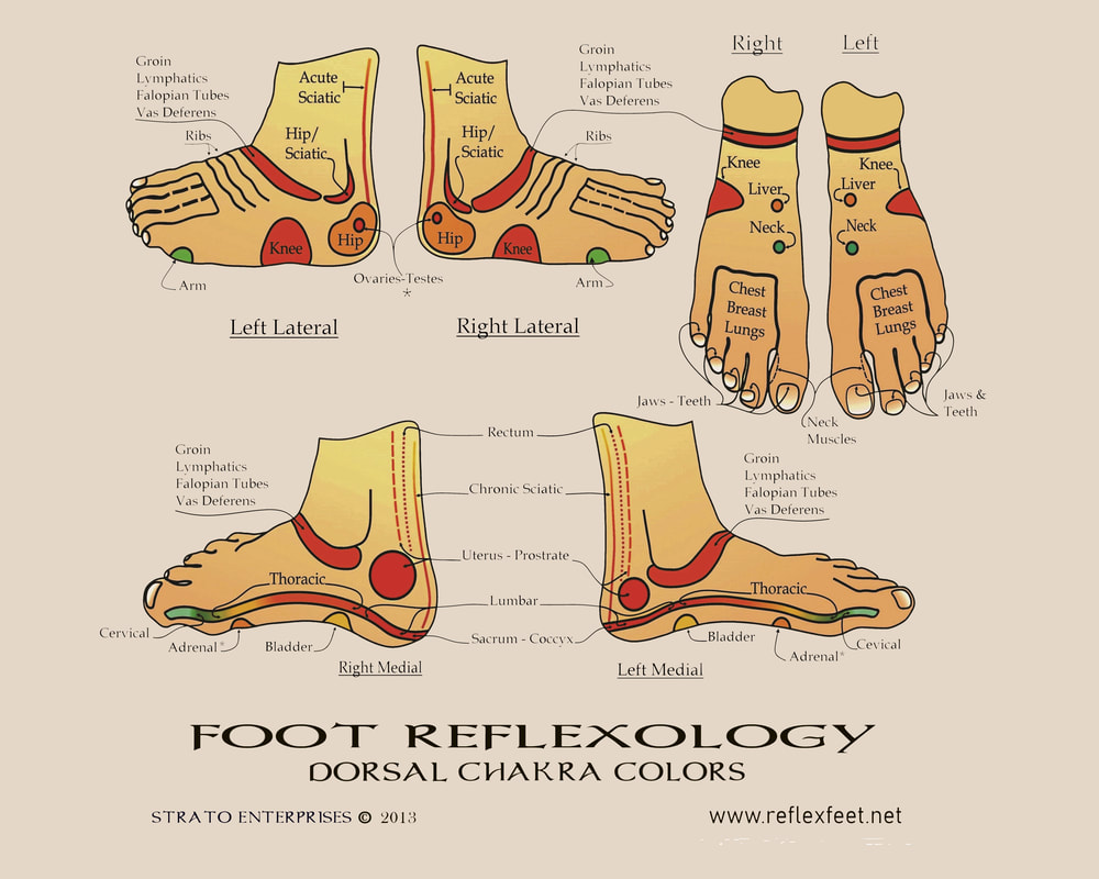 Reflexology Chart Top Of Foot