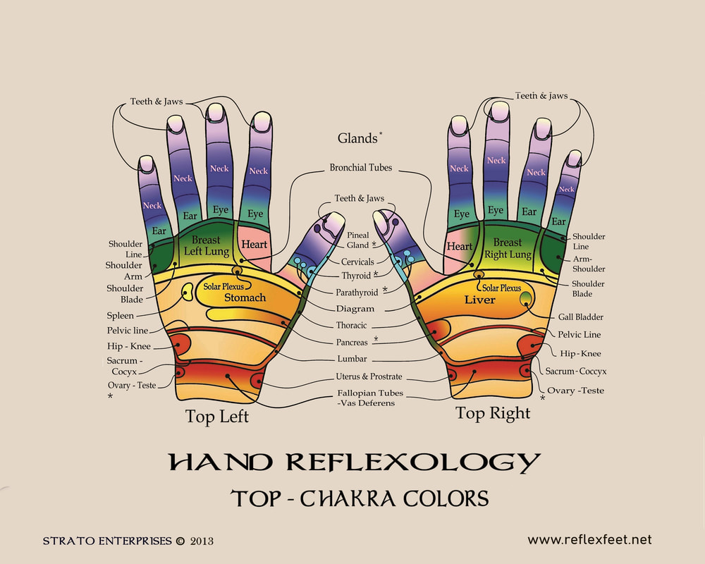 Top Of Hand Reflexology Chart