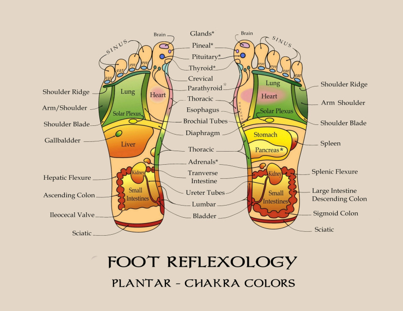 Foot Reflexology And Oil Usage Chart